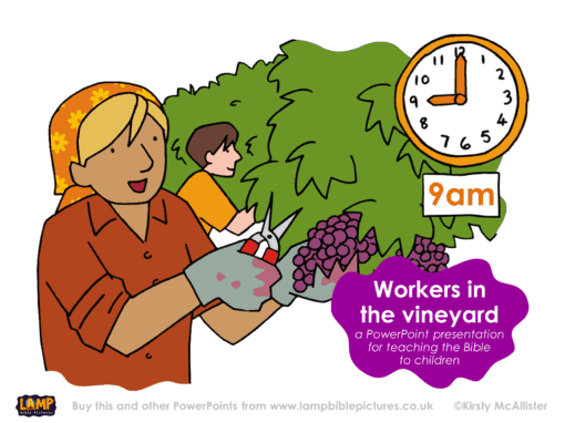 A Bible story PowerPoint presentation: Parable of the workers in the vineyard