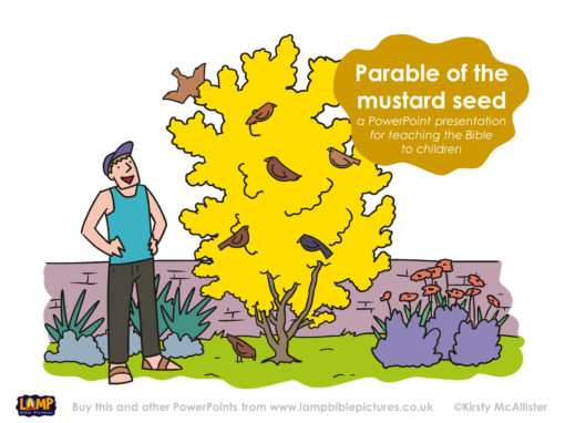 A Bible story PowerPoint presentation: Parable of the mustard seed